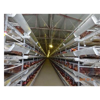 China Poultry Farming MU GRIP H Type 3 Tiers Poultry Farming Equipment Layer Chicken Cage For Sale for sale