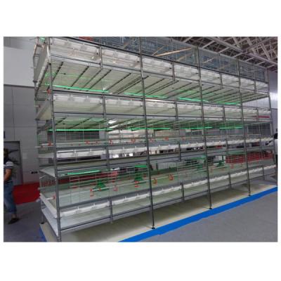 China MU TONG Chicken Farm Can Be Customized Stacked Layer Cages, Broiler Cages, Brood Cages for sale