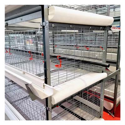 China Farms MU TONG Automatic Chicken Layer Cage Poultry Manure Cleaning Equipment for sale