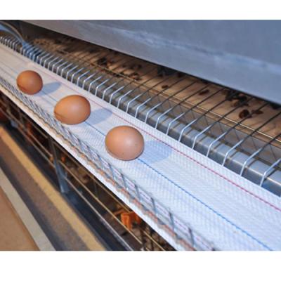 China Chicken House MU TONG Customized Chicken Cage Breeding Equipment Anti-collision Egg Harvester for sale