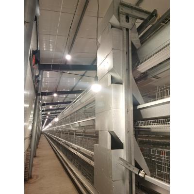 China Cultivate Poultry Farm Automatic Chicken Feeding Equipment for sale