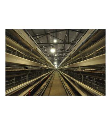 China MU TONG Small Chicken Farm Stepped Brood Cages For Livestock Equipment Can Be Customized for sale