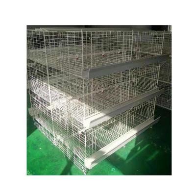 China MU TONG New chicken farm breeding equipment pigeon cage, quail cage brood cage small for sale