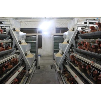 China Chicken Farm MU TONG Ladder Type Four-Layer Cage For Breeding Equipment for sale