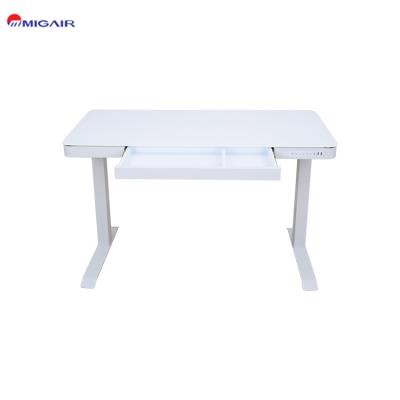 China Ergonomic Adjustable Home and Office Work Computer Desk Freestanding Escritorio (Height) High Quality Height Adjustable for sale