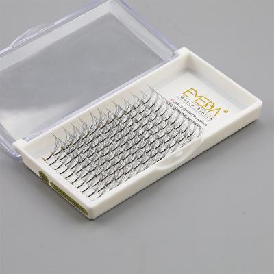 China Feather Emeda New Russian 4d 5d 6d Design Pre Made Fans Bulk Lashes Volume Eyelash Extension for sale