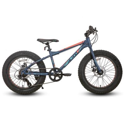 China JOYKIE steel fat tire bicycle wholesale mountain bike/fat tire mountain bike fat tire cycle/20 inch snow beach for sale