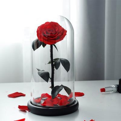 China Mother's Day Ourwarm Valentines Day Gift Eternal Fresh Roses Single Eternal Glass Flower Preserved Rose In Dome for sale