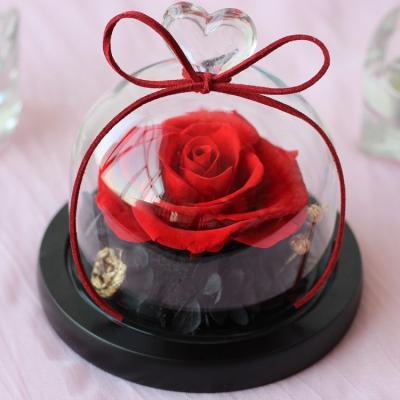 China Ourwarm Grade Natural Fresh Flower Real Roses Eternal Flowers Wholesale Natural Mother's Day Gift In Glass Preserved Roses For Valentines Day for sale