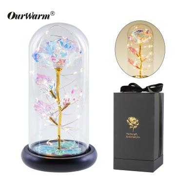 China Home Decoration OurWarm Flower Madre 24K regalo dia gift Foil Galaxy Led Rose In Glass Dome for sale