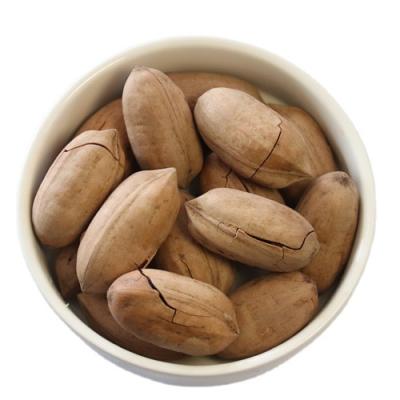 China Manufacturer Wholesale Healthy Organic Shelling Snacks Processing Roasted Pecan for sale