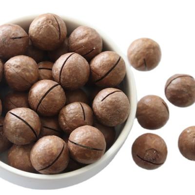 China Snack Factory Direct Sales Hand Shell Unsalted Dry Roasted Australia Hazelnuts for sale