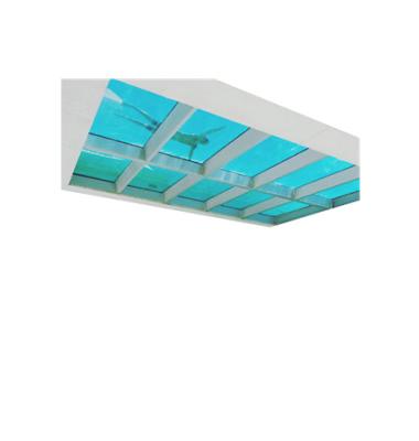 China UV Protection PAGE Garden Coating House For Swimming Pool Adult Plastic Acrylic Panel for sale