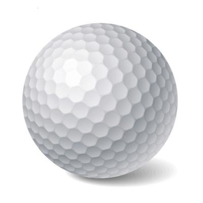 China Durable Custom Logo Personalized Ball Driving Range Practice Shaping 2 Layer Golf Ball for sale