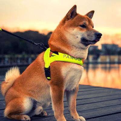 China 2021 Sustainable Popular Reflective Dog Harness Nylon Pet Belt For Outdoor for sale