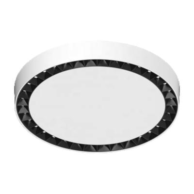 China Modern Home Spot Lighting 36W Led Combo Lamp Ceiling Down Lighting Circle Ring Light for sale