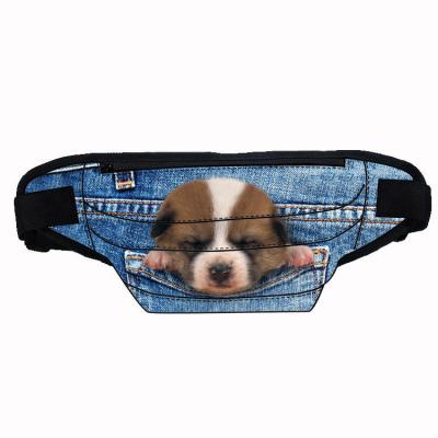 China Anti-Theft Anti-Theft Polyester high quality animal picture Print logo No MOQ Waist Bag men custom fanny pack for sale