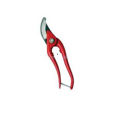 China Anti-Slip Handle SE419 Wantok Carbon Steel Blade Shears for sale