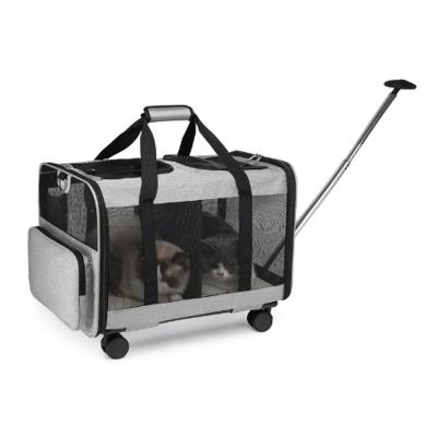 China Waterproof Custom Brand Innovative Polyester Water Proof Portable Pet'S Trolley Case For Cat for sale