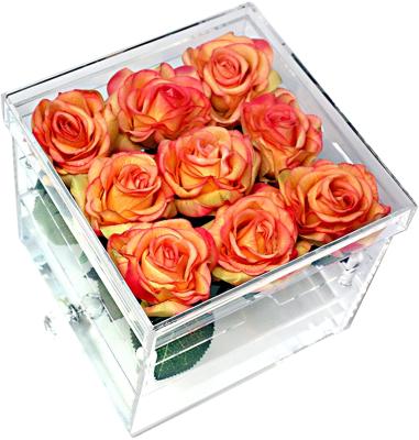 China Eco - Friendly Price 2 Tier Clear Acrylic Pink Maker Box for sale