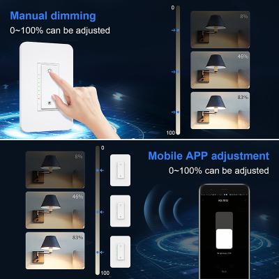 China Dimmer Touch Durable Switch Rheostat Wall Light Touch Control Voice Control Voice Control Alexa Alexa Switch for sale