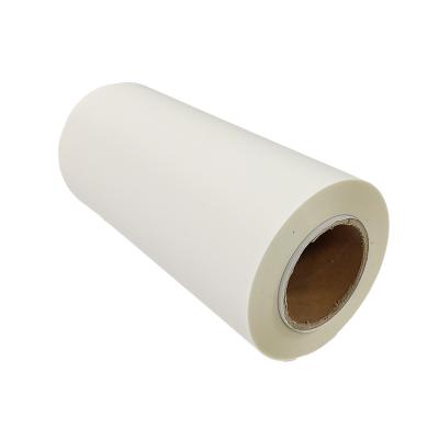 China Heat Transfer PET Film 30cm 33cm 43cm 60cm Width PET Film DTF Transfer Film For Inkjet Printer for sale