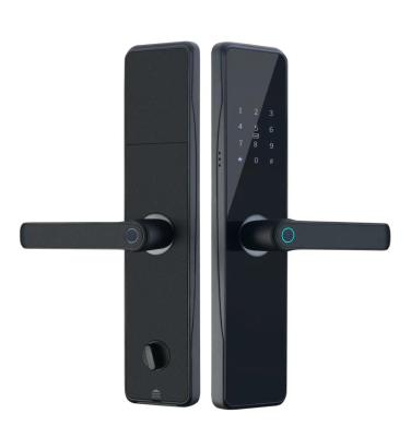 China TUYA Smart WiFi APP Access Electronic Biometric Fingerprint Digital Smart Lock Door for Home Wooden Doors for sale