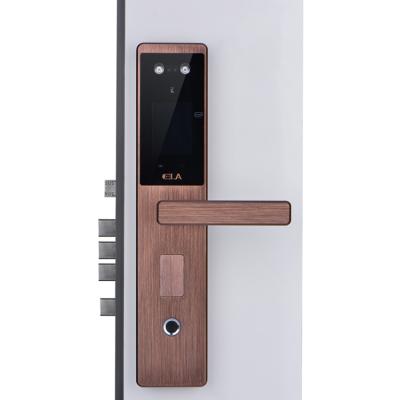 China Anti-theft Security Home Apartments Security Face Recognition Fingerprint Password Electronic Smart Door Lock for sale