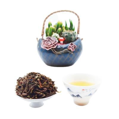 China Healthy Drink Certified Organic Phoenix Dancong Yummy Scented Osmanthus Scented Tea Refreshing and Slimming Scented Flower Tea for sale