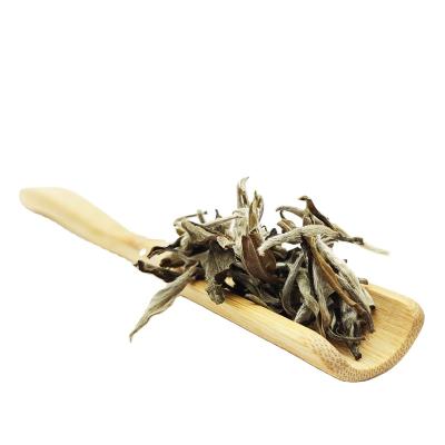 China Loose Peony High Quality Silvery White Tea Needle Wholesaler Original Hot Living White Tea Organic Best Young for sale