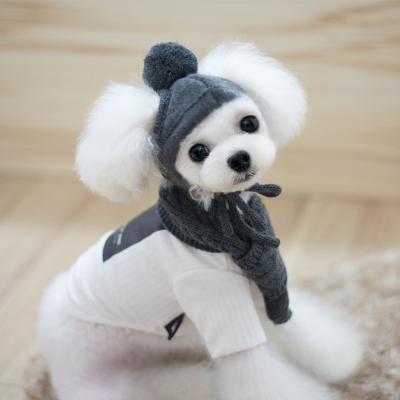 China Wholesale Viable New Style Knitted Crochet Warm Winter Wool Hat Dog Hat for sale