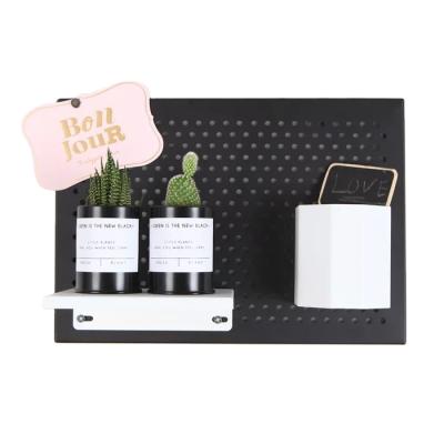 China Viable Fashion Metal Wall Panel Metal Pegboard Wall Rack Display For Any Room In The Home for sale