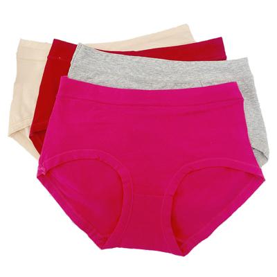 China Breathable Comfortable Wholesale Ladies Ladies Cotton Briefs Female Elastic Warm Underwear for sale