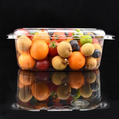 China Recycled Custom Disposable Clear PET Hinged Materials Lid Clamshell Tray Cake Fruit Salad Food Packaging Container Fruit Plastic Box for sale