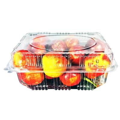 China Recycled Materials 500g Transparent Clear PET Materials 500g Pet Fruit Packing Container Plastic Box Disposable Fruit Packing Crate Agriculture Support for sale