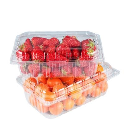 China Recycled PET Fruit Cutting Box Disposable Materials Fresh Tray Supermarket Transparent Vegetables Packaging Preservation Packaging Custom for sale