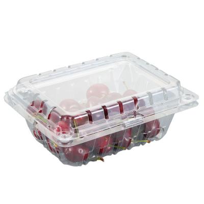 China Recycled Materials Wholesale Custom Clear PET Plastic Fruit Boxes 750ml Transparent Salad Clamshell Blister Container With Disposable Holes Tray for sale