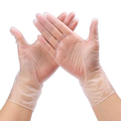 China Home.Restaurant.Bar.Hotel.Shop.ect Clear Food Grade Clear Powder Free Soft Vinyl PVC Gloves for sale