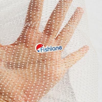 China Monofilament China Factory 0.30mm Fishing Net 40mmsq White Nylon Monofilament Fishing Net for sale