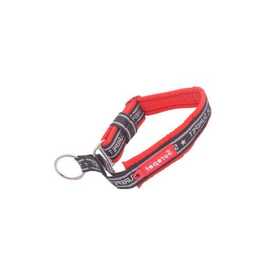 China Personalized Durable Brand Eco-friendly Fashion Anti Bark Training Nylon Collar for sale