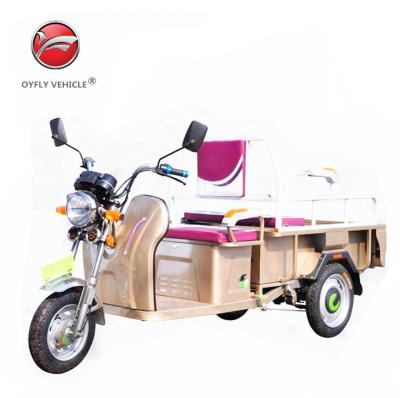 China Hot sale 48v 1000w 3 wheels cargo electric tricycle with music player from OYF vehicle factory for sale