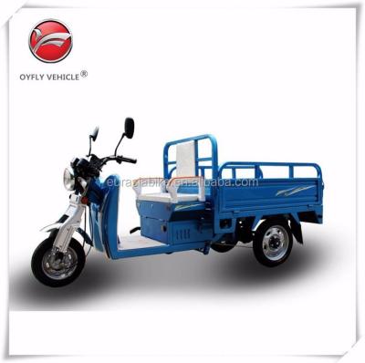 China High Quality Electric Cargo Trike 48V 1000W Electric Cargo 3 Wheels Electric Cargo Tricycle With USB Music Player for sale