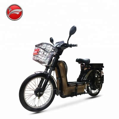 China Steel China Brand 60V 12Ah 350W Charging Electric Bike 22