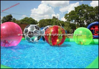 China Multicolor Walk On Water Inflatable Human Hamster Ball For Water Park for sale