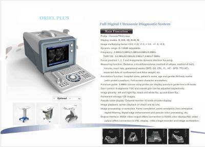 China Animal Cattle Veterinary Ultrasound Machines 6.5MHz R13 Cavity Probe for sale