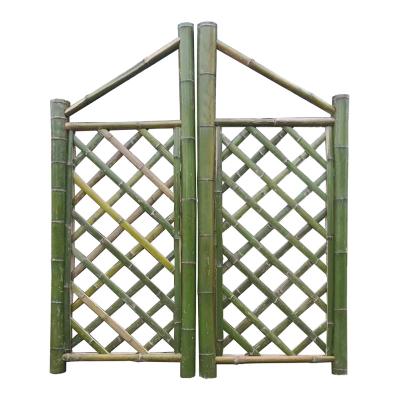 China Garden Fence 2020 new design garden stainless  bamboo 20mm-30mm 22-35mm  fence for sale