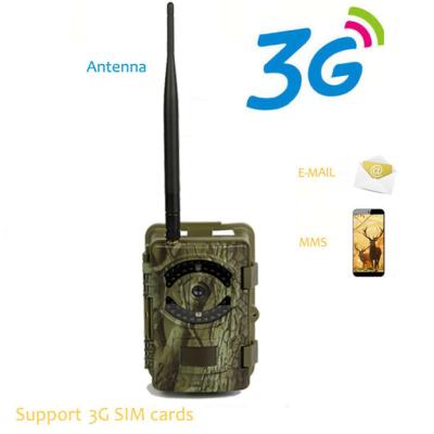 China 3G GSM Big Eye G3 Wildlife Hunting Camera Wireless G3 Surveillance Camera for sale