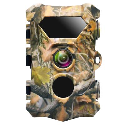 China 2020 New Arrival Weather-Resistant Hunting Camera Outdoor Game Trail Camera CCTV CCTV RS-H903 for sale