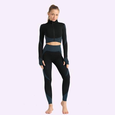 China Hot Selling Yoga Crop Workout Women Sexy Gym Clothing Long Sleeve Breathable Seamless Top for sale