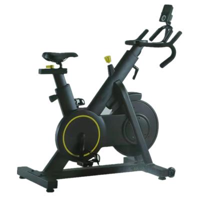 China Universal Workout Fitness Equipment Gym Exercise Bike Indoor Spinning Type Original Product Max Belt Flywheel Transmission Weight for sale